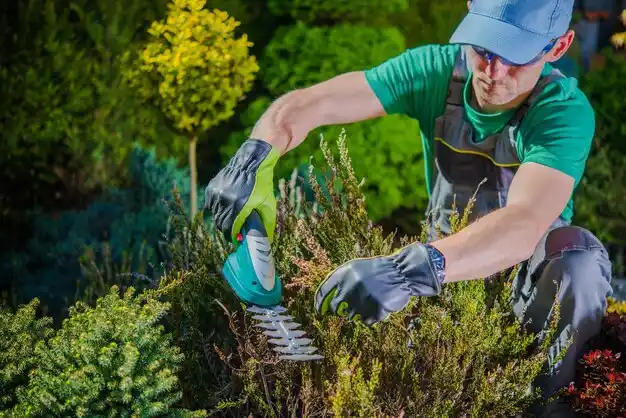 landscaping services West Buechel